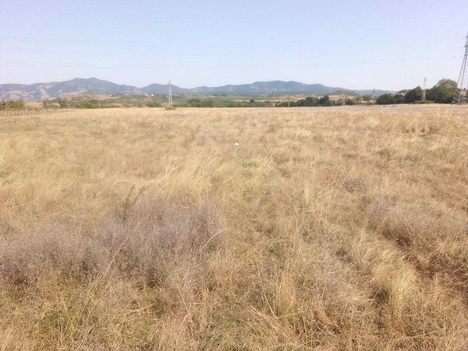 Давам под наем 6 декара земя в гр. Кърджали