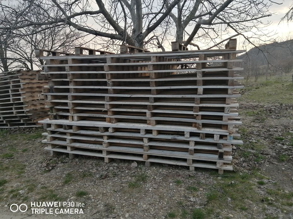 Vând paleti 280 × 200.6