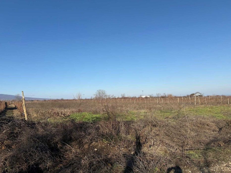 Vand Teren 3.704 mp cu proiect hale – Odobești, jud. Vrancea