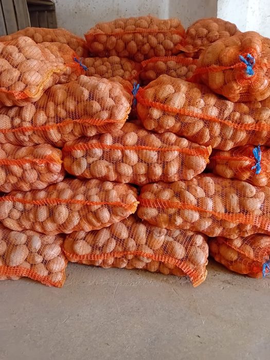 Vând  cartofi consum