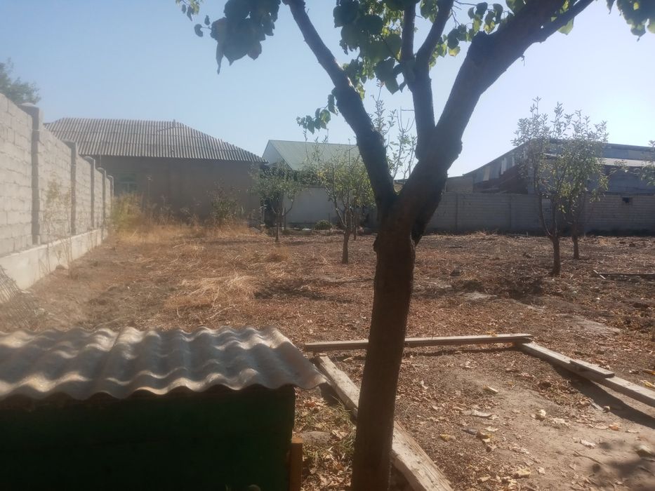 yer sootiladi yer maydo i 8 sotik 15000 minda sotigiga soravomiz