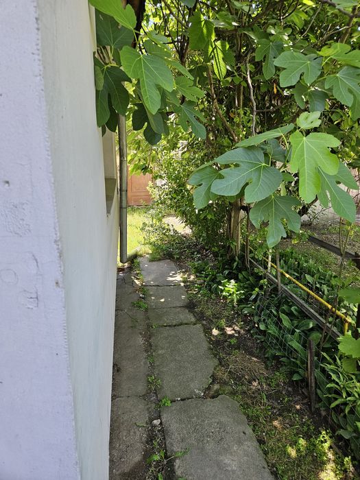 Casa si teren strada Mihai Eminescu