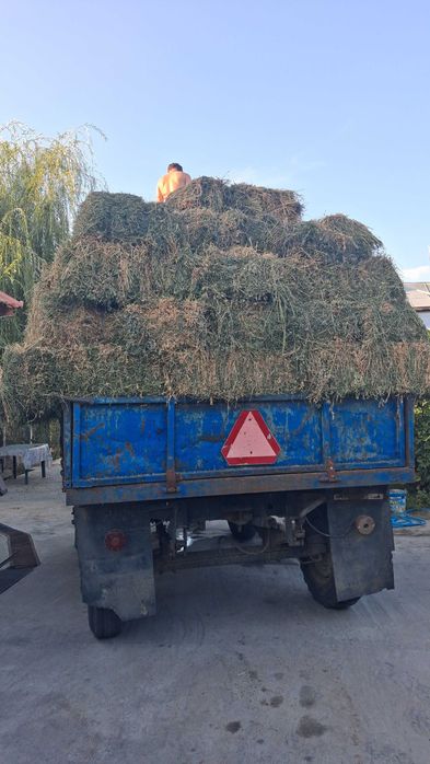 baloti lucerna coasa a4a