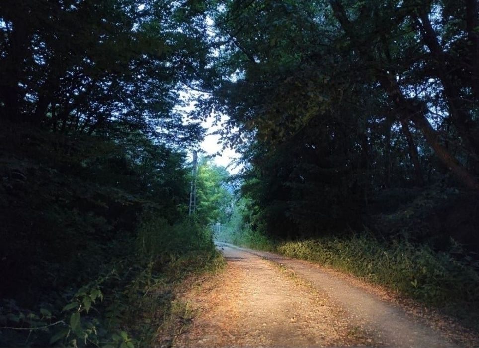 Teren intravilan Capul Piscului Merișani 500-1700 mp