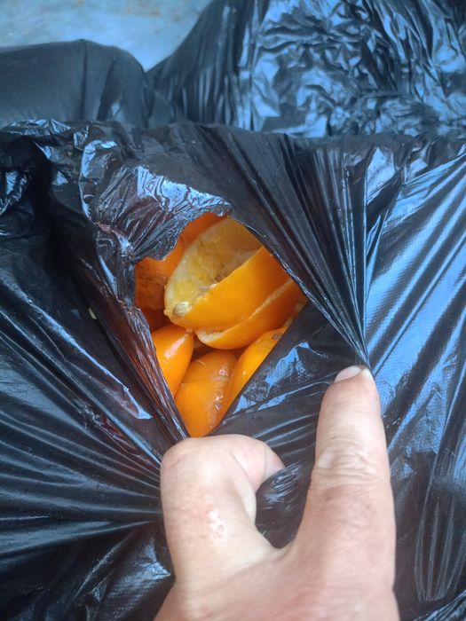 Limon suvini siqib olingan pochogi bor tekinga kuniga 3 yoki 4 qop