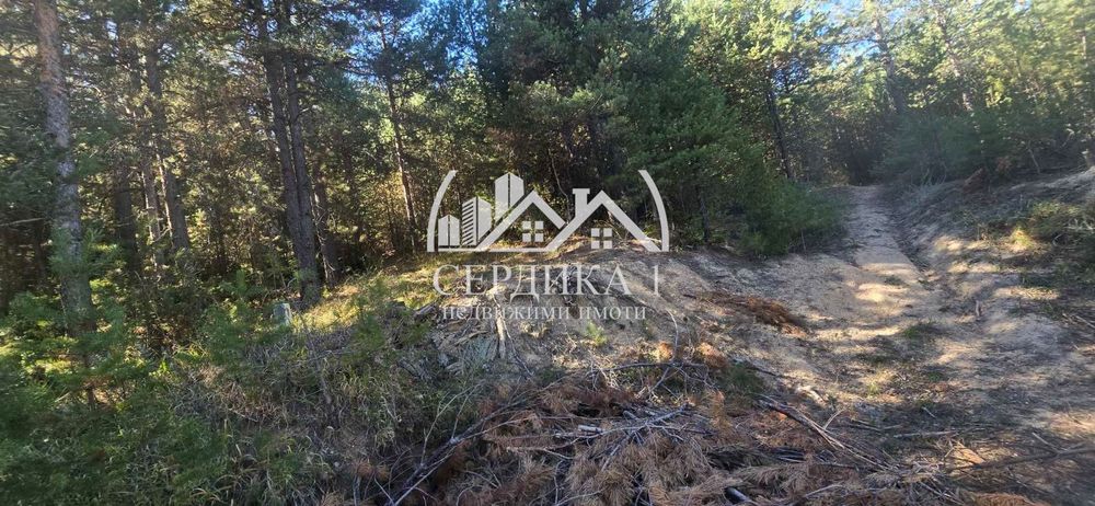 Продава се Парцел в Банско - 4820 кв.м за 37 €/кв.м - Снимка #6