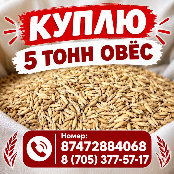 Овёс/сұлы 5 тонн