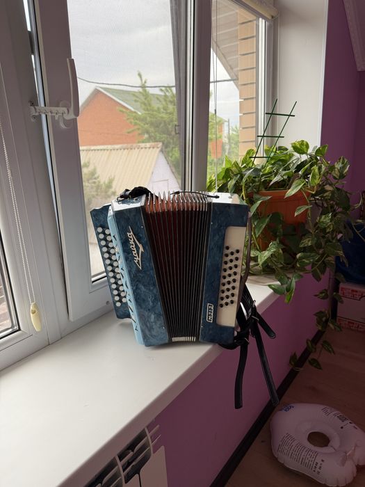 Продам гармонь Чайка 313