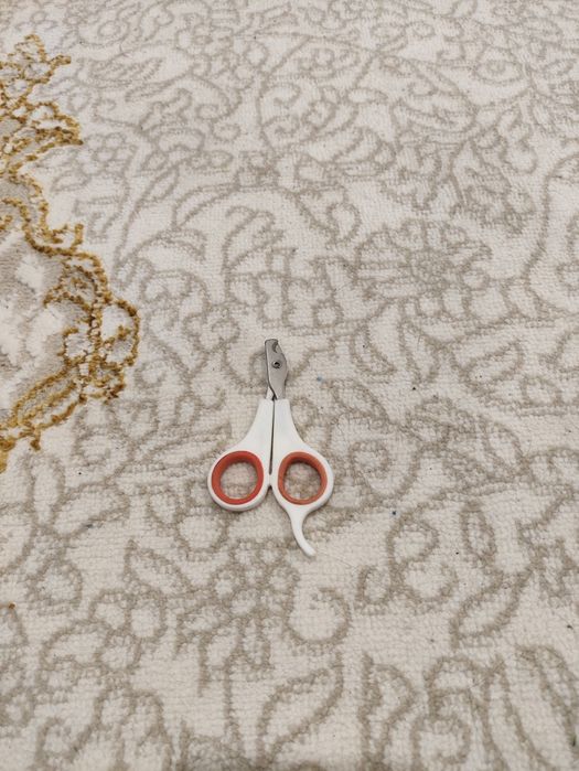 Лоток для кошек кошки