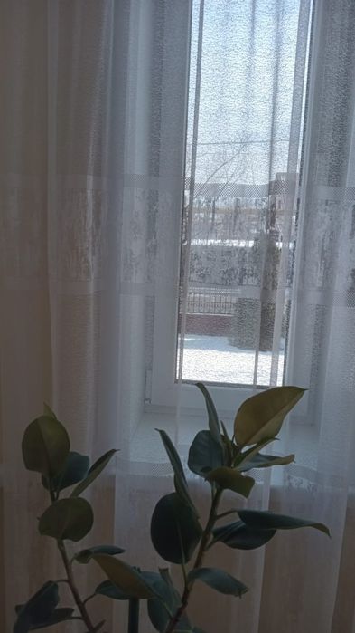 Белоснежная тюль