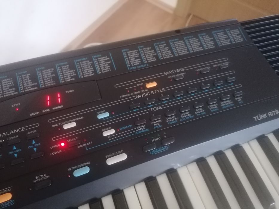 Türk Ritimleri Roland E 16TR profesional