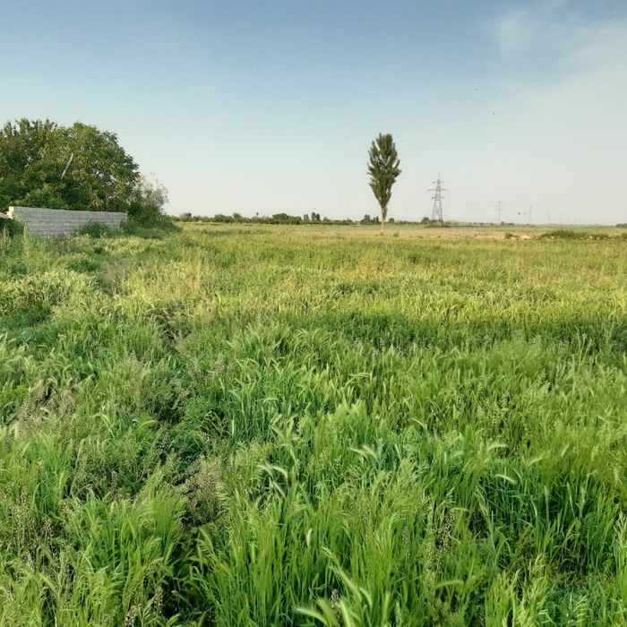 Куйичирчикда ховли сотилади