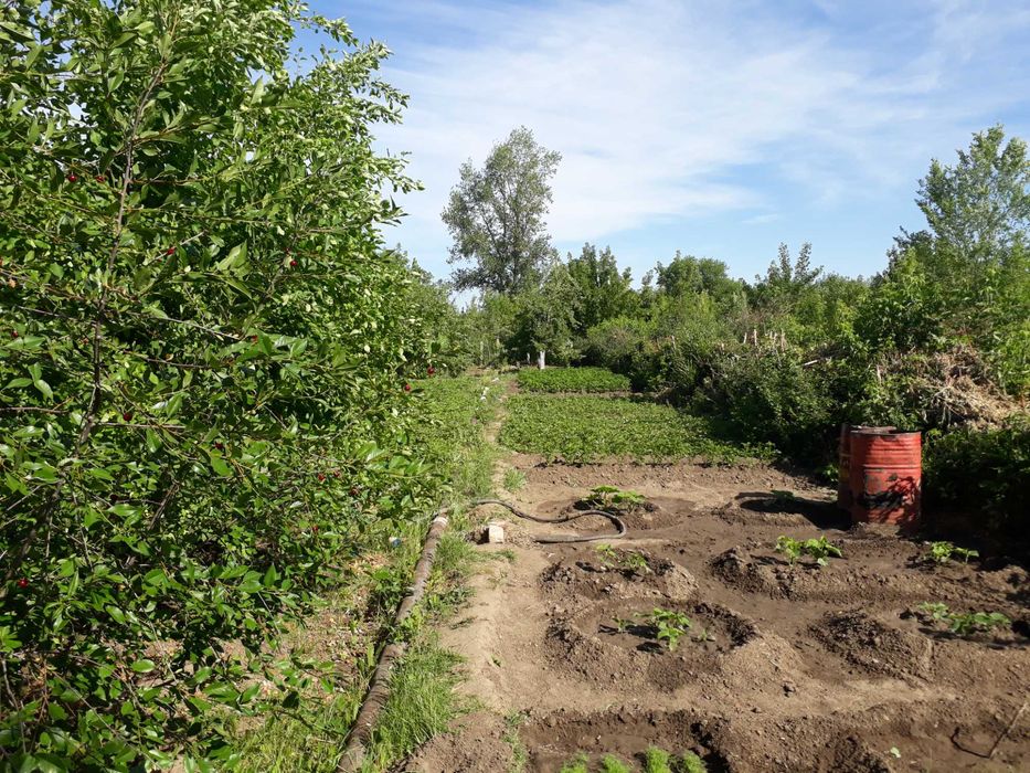 Продам дачу в черте города (район гипермаркет Анвар)
