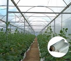 Import Grecia: FOLIE SOLAR, 150micr, 3 Ani Garantie, UV+EVA,