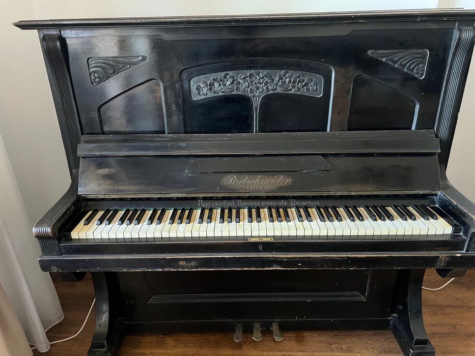 Pianina Bietschneider-Leipzig