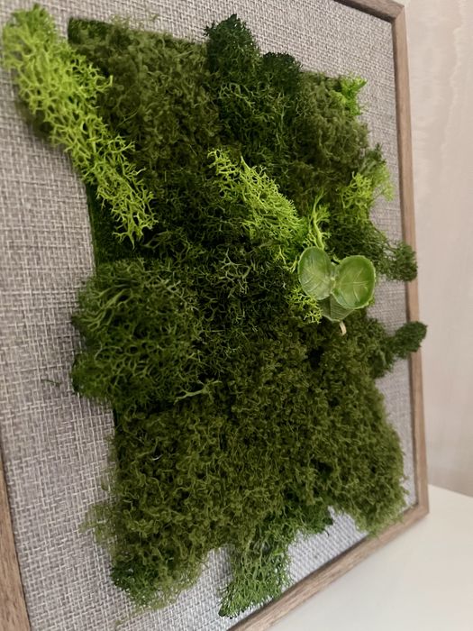 Зелена картина/пано от скандинавски мъх