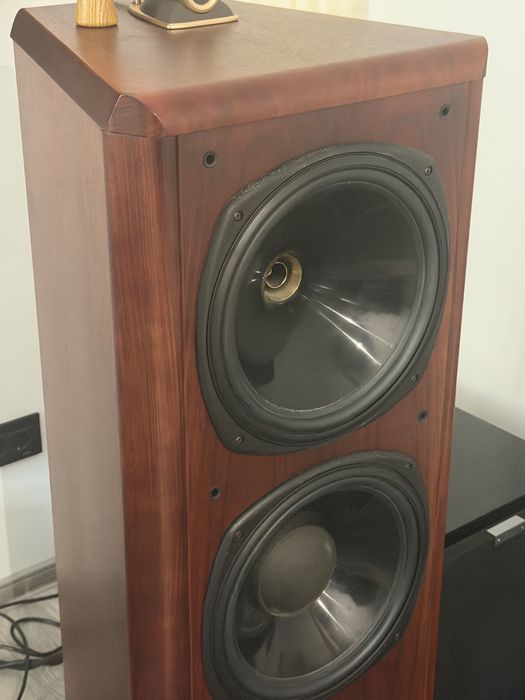 Boxe Tannoy D900