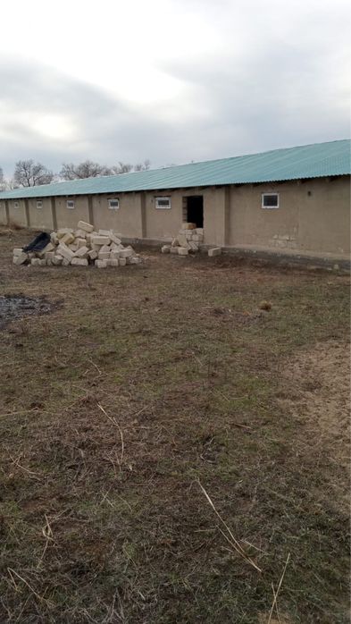 Животноводческая база