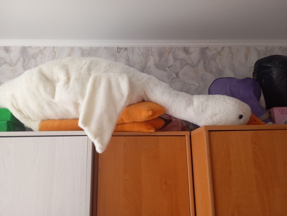 Продам гусь обнимусь СРОЧНО