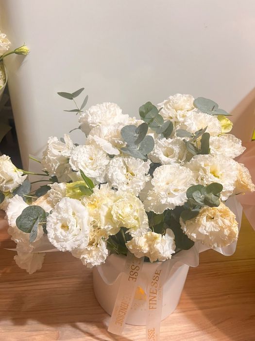 Продаю цветы срочно