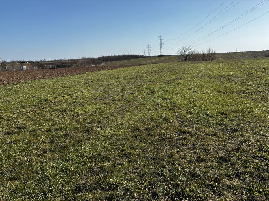 Teren intravilan 3.000 mp Niculesti Movila