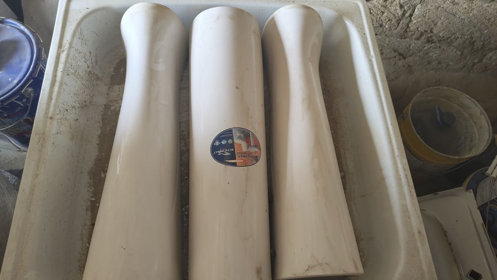 Раковина тюльпан