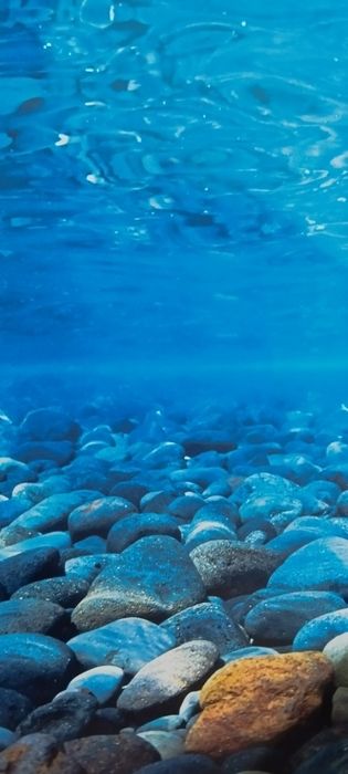 Фоны для аквариума, террариума.