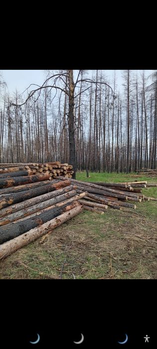 Дрова есть в продаже 10000за куб