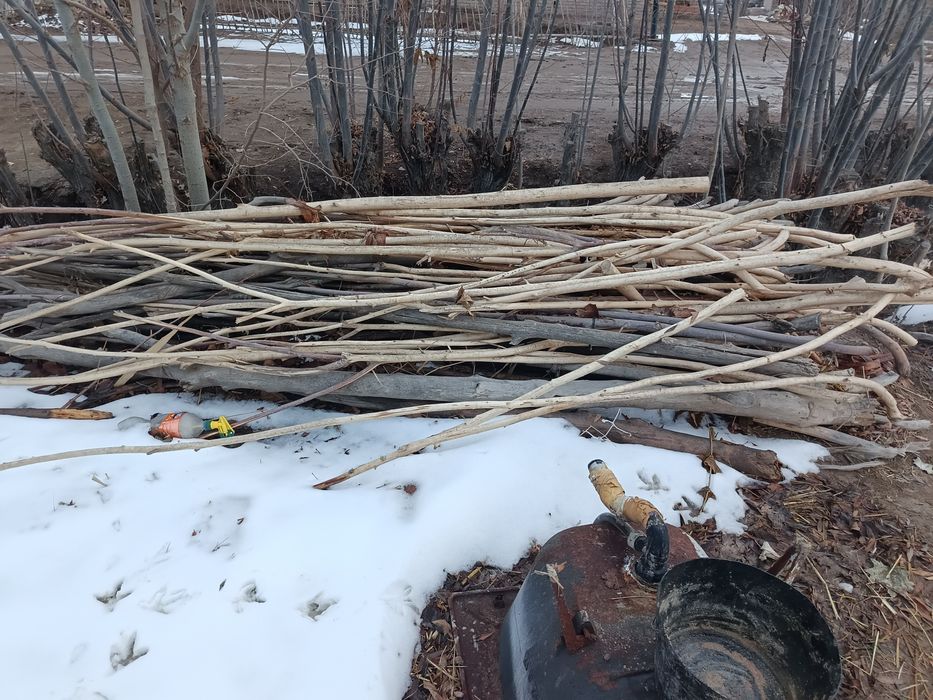 Oʻtin sotiladi 1.500ming