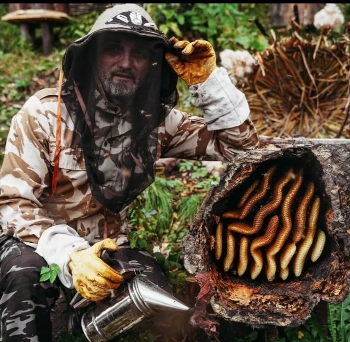 Асал янток, асал йоввойи, асал коп йиллик