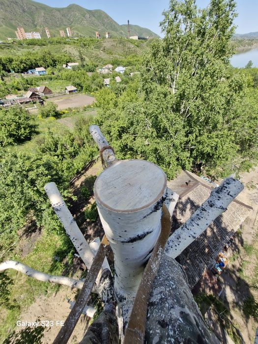 Спил деревьев любой сложности