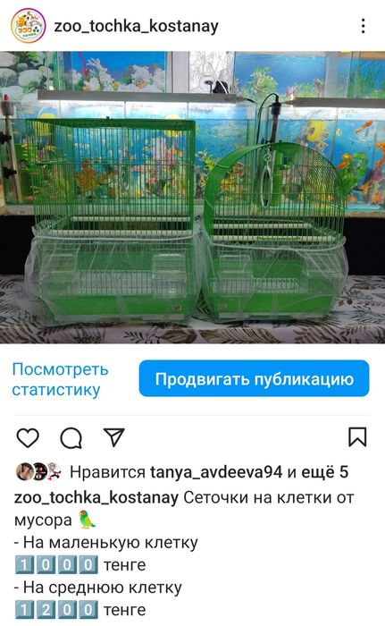 Сеточки на клетку