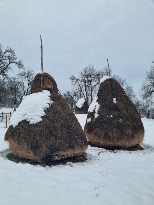 Vând 3 clăi de fân