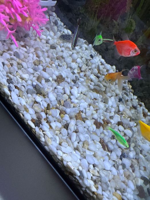 Продам аквариум.