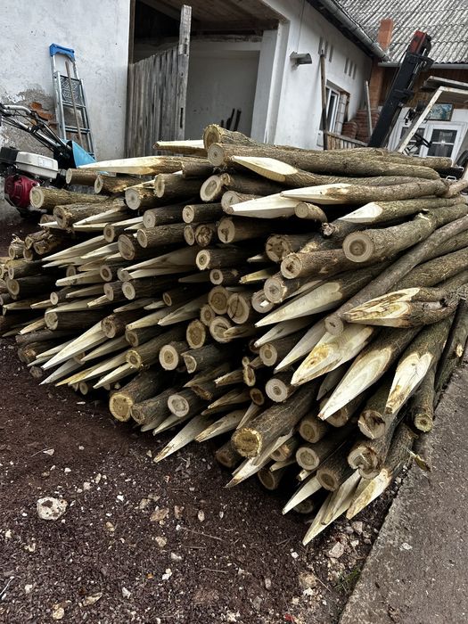 Vănd stalpi de Salcâm