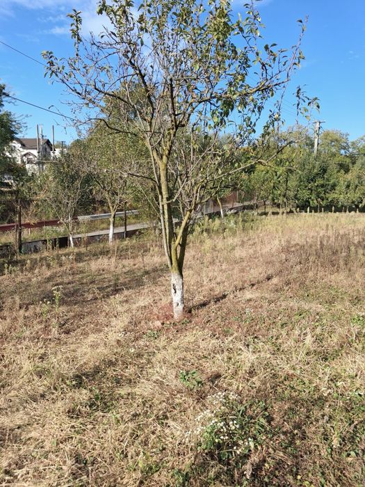 Teren intravilan - 750 mp (în acte), (798 mp suprafața mǎsuratǎ) - comuna Cocorastii-Mislii (Prahova) - la 18 km de Ploiesti