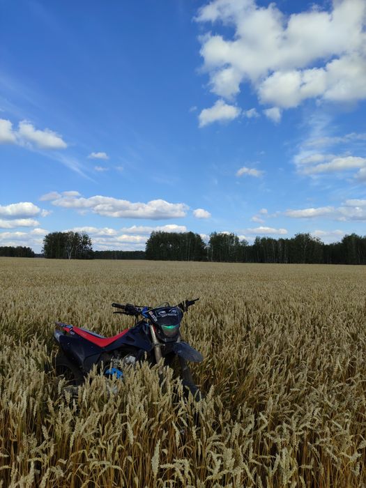 Эндуро hammer 250