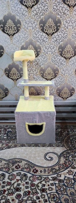 Mushuk ini. Arzon va sifatli