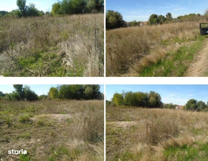 Teren Branceni, ID: R2942560
