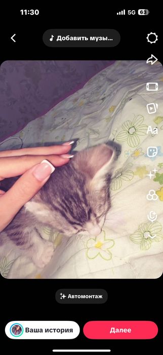 Мысық бар кішкентай .Отдам даром