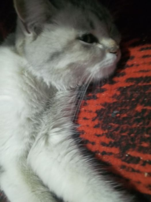 Rus hardcore xotini oladi becerdin qattiq barcha teshiklari