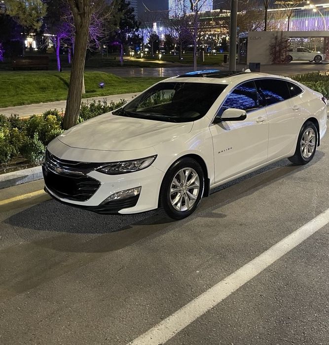 Malibu Premier 2