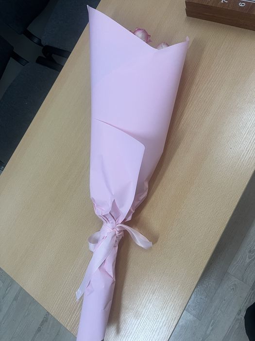 Цветы роза 7 штук )свежие