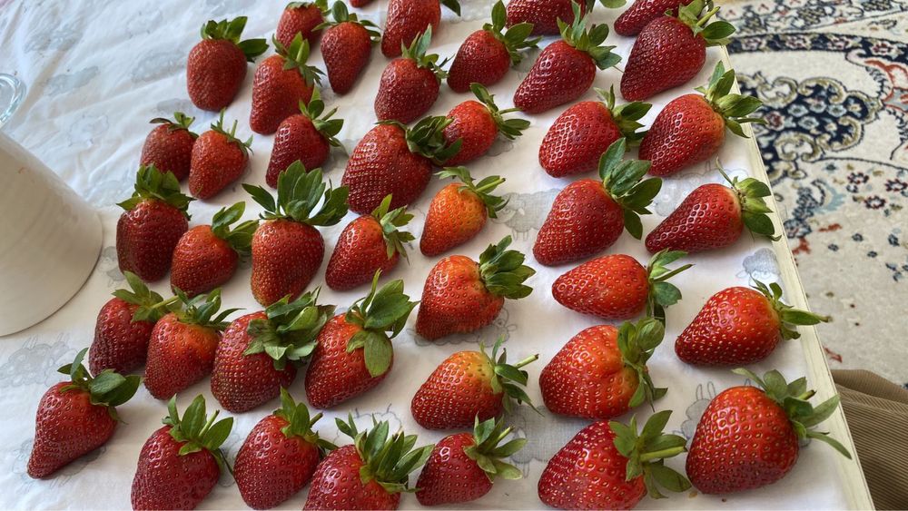 Клубника в шоколаде