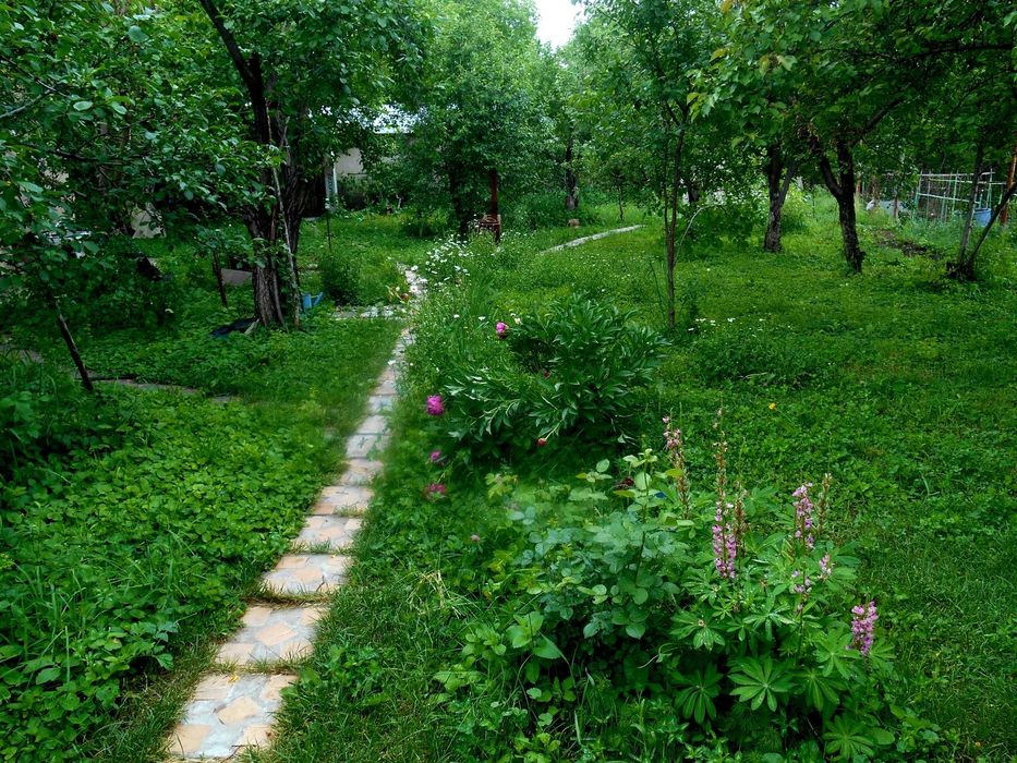 Продаю дачу у поселка Ават, 6 соток