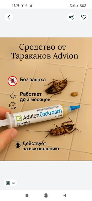 Таракан дори,+Чумоли дори,+Сичкон+Каламуш+клапа дорилари ГАРИЯНТАЛИ!!!