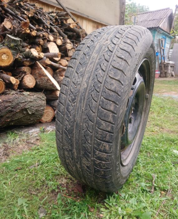 Шины R14 (без диска цена за одну шт)  185/60 r14 Cordiant