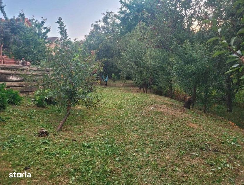 Teren intravilan de 560 mp cu A.C. casa S+P+M, Andrei Muresanu