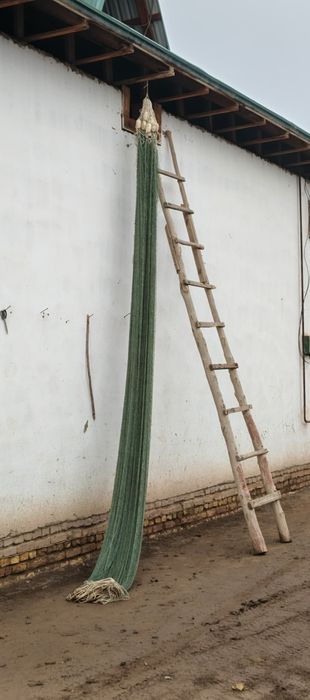 Baliq ovlash uchun ohon