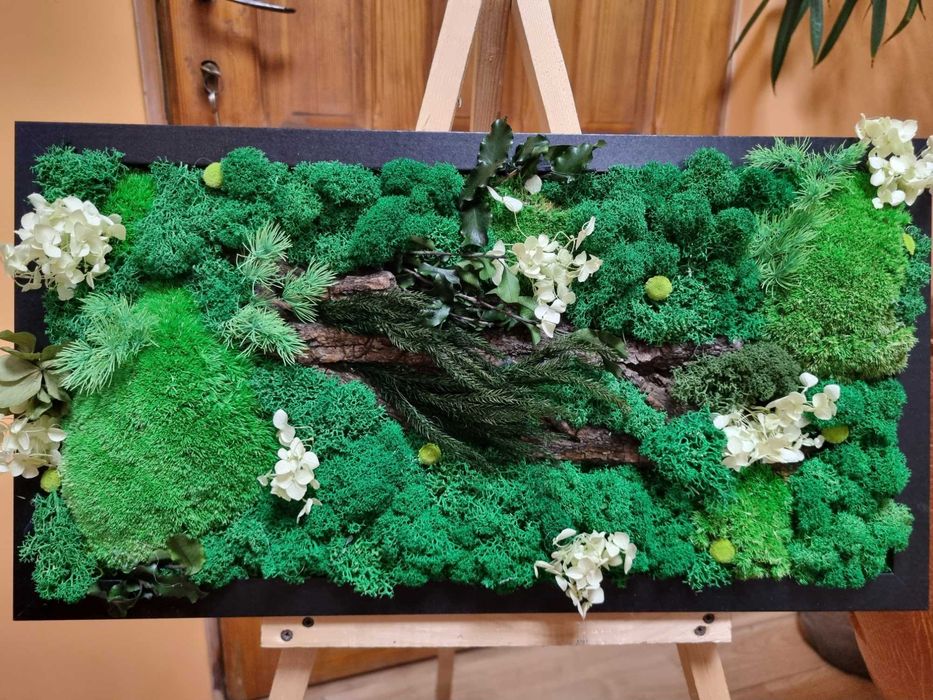 Tablouri cu licheni stabilizati